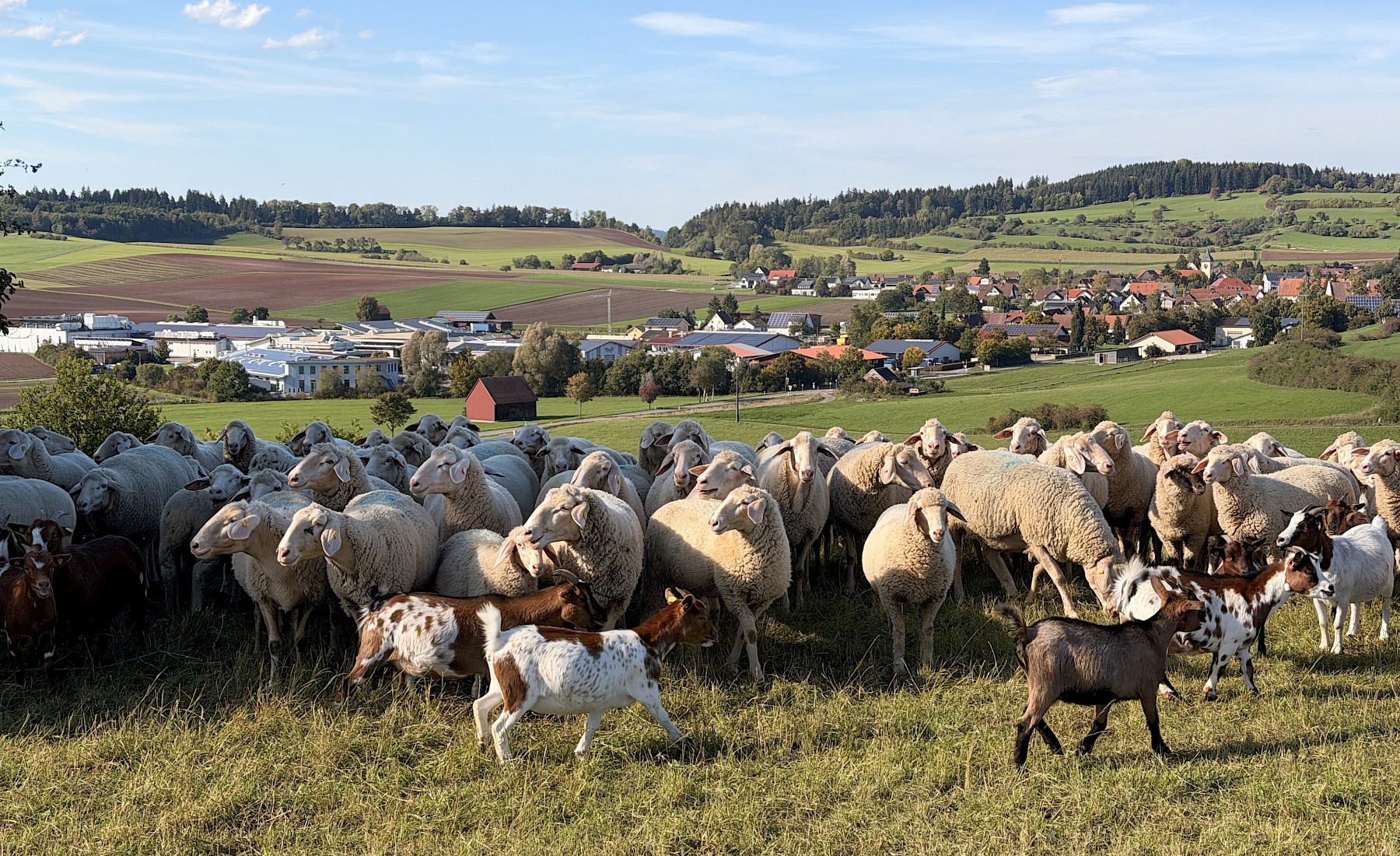 Vereinsausflug in den Schwarzwald