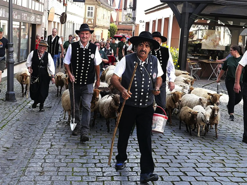 Private Blühwiese in Rehbach