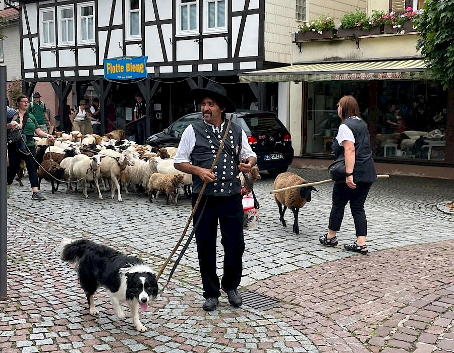 30. Odenwälder Schäfertag