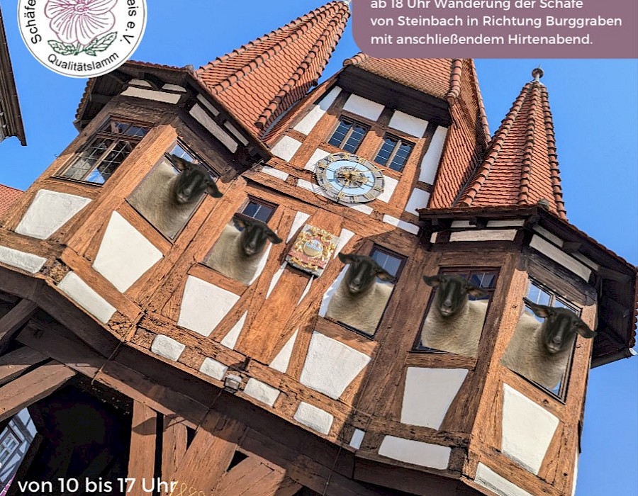 30. Odenwälder Schäfertag