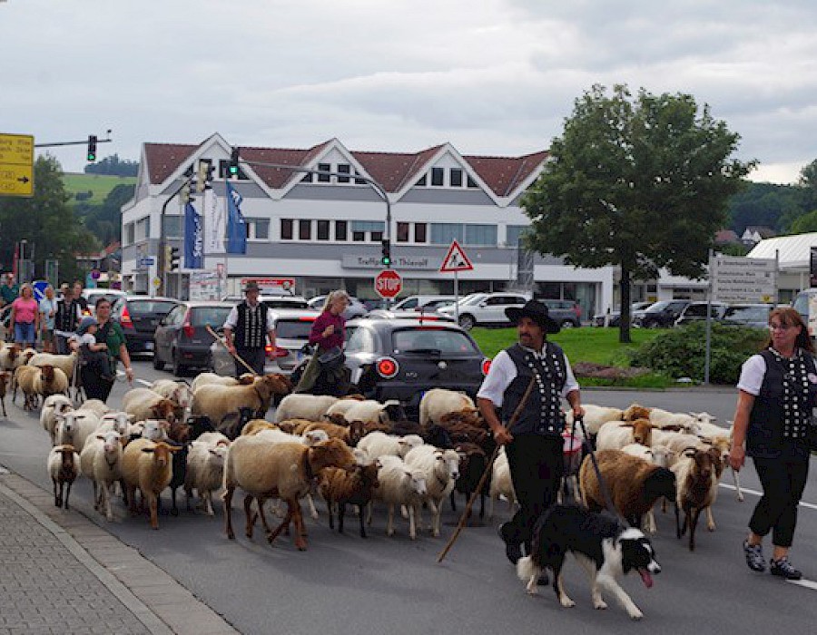 28. Odenwälder Schäfertag
