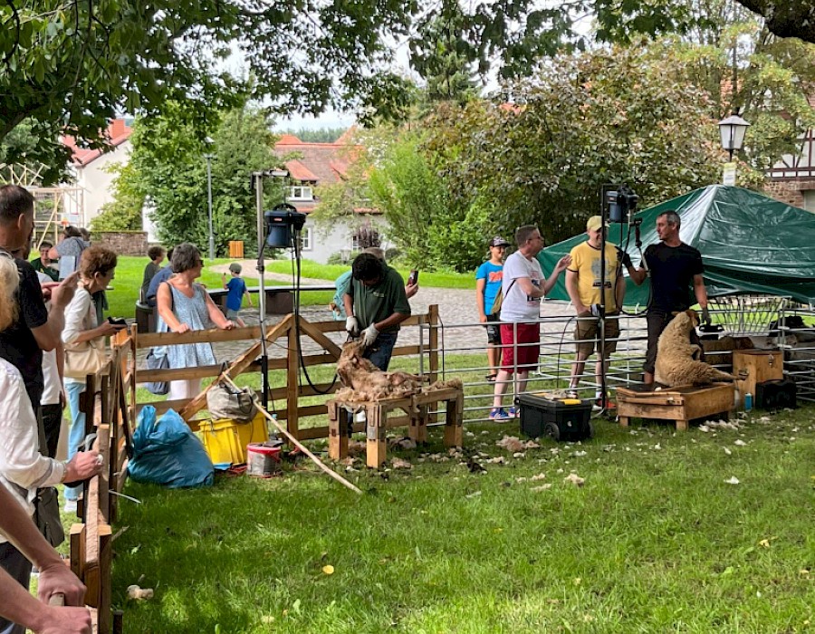 28. Odenwälder Schäfertag