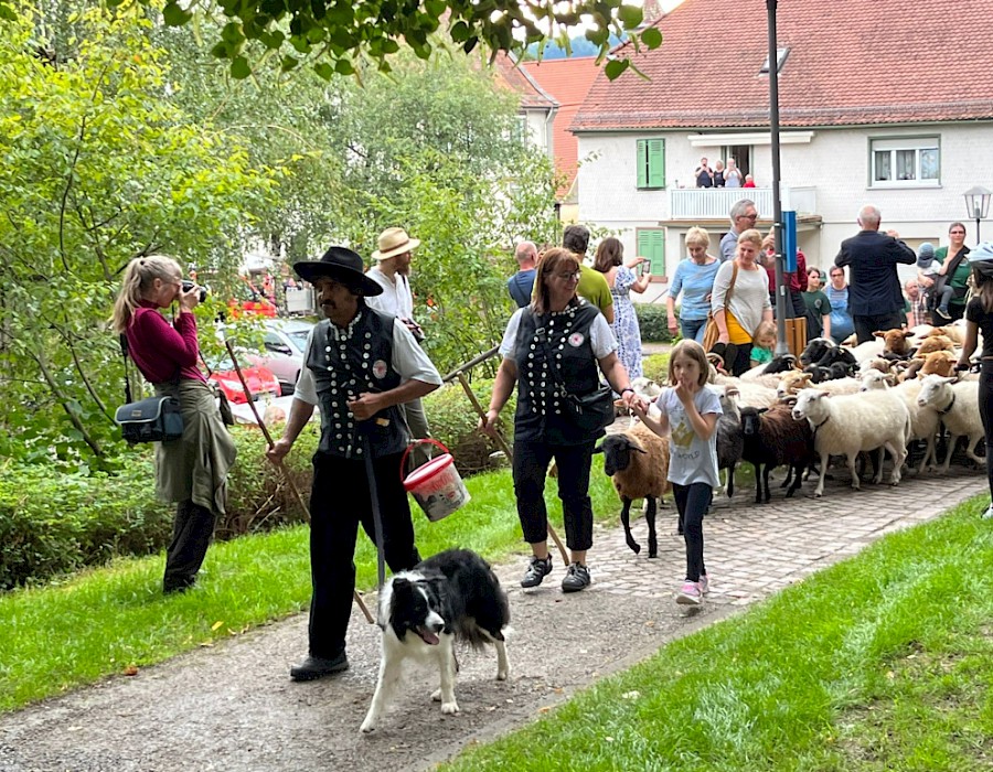 28. Odenwälder Schäfertag