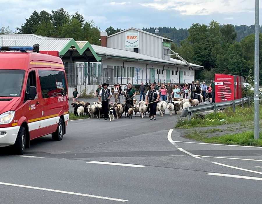 28. Odenwälder Schäfertag