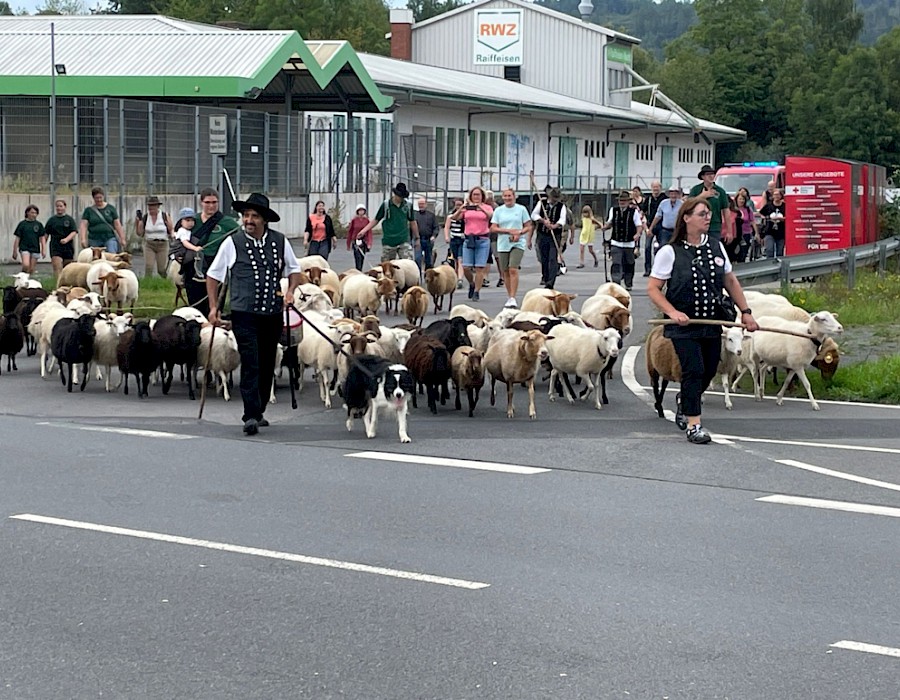 28. Odenwälder Schäfertag