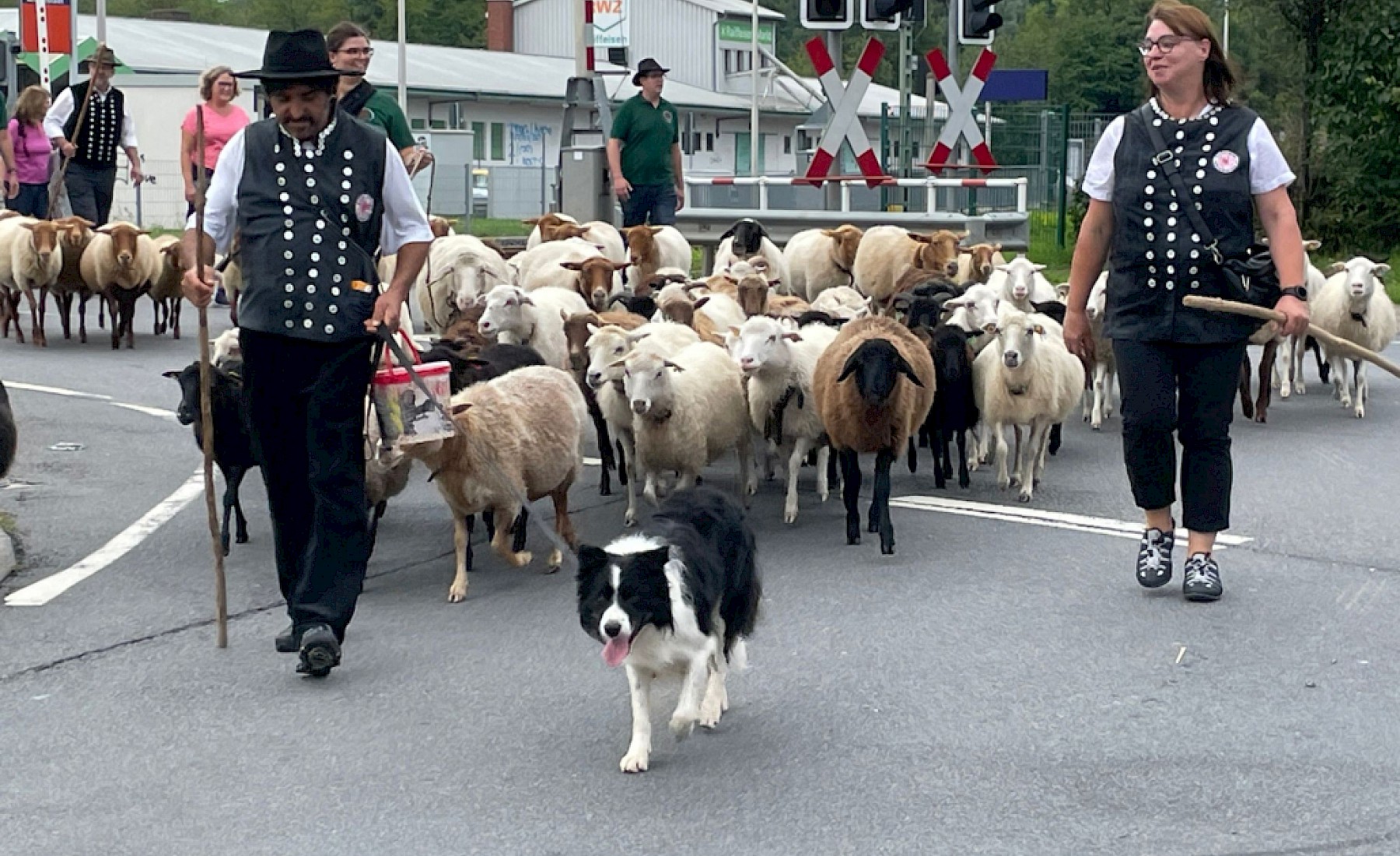 28. Odenwälder Schäfertag