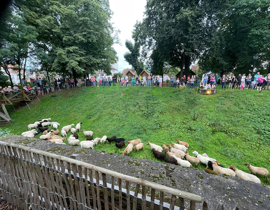 28. Odenwälder Schäfertag